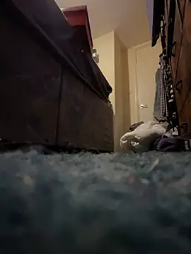 Tattooednakedguy: διαδικτυακό σόου στην κάμερα