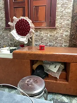 Phale2x Chat XXX in diretta