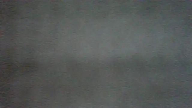 chichoplus webkamerás műsora