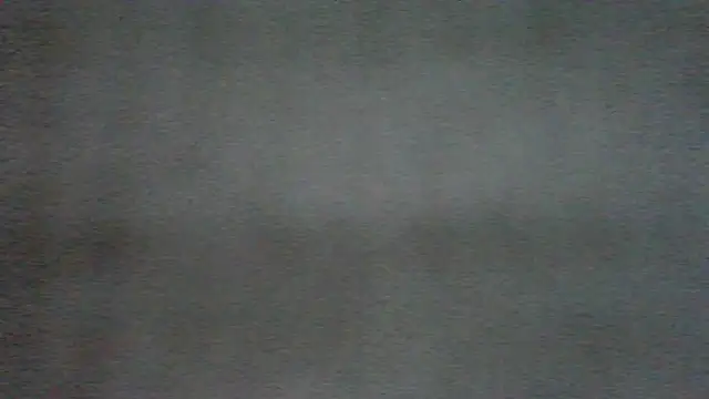 chichoplus 现 场XXX聊天