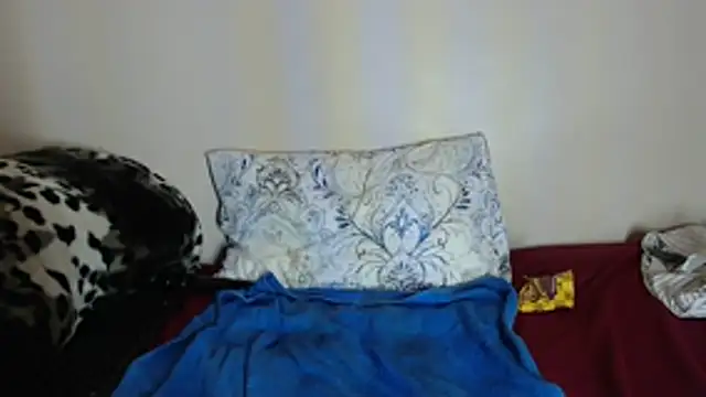 Chat XXX en directo de Nellybba