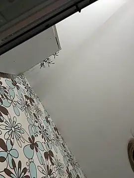 Webkamerová show adel_secret