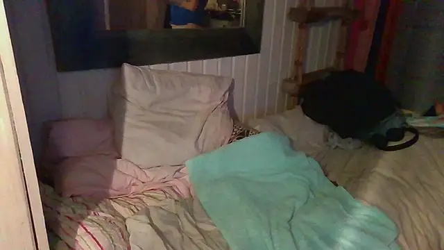 Stock-Holmes Webcam Show