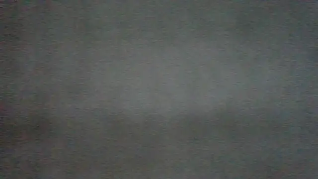 chichoplus Show in webcam