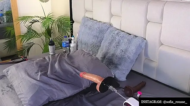 Chat XXX en directo de sofia_rousse_