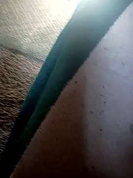 Show Webcam de ySqmbVanbe