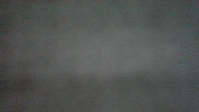 chichoplus Live XXX Chat