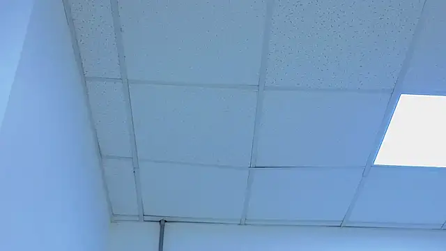 Chat XXX ao vivo de CHARLIE_WALKERR