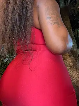 Chatroom XXX en direct de darle_volant