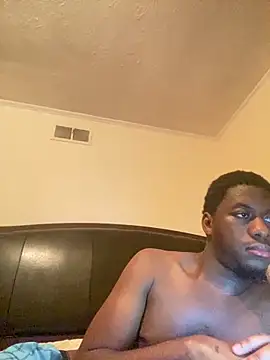 ThickDic28 Show Webcam