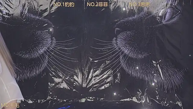 sweetgirls888 Webcam Show