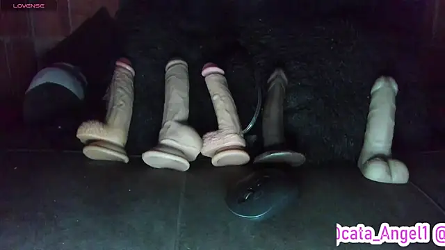 Cata-angel live XXX chat