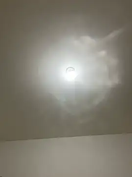 Chat +18 de Linda-323 ao vivo