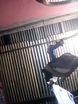 Živý XXX chat tumoreno97