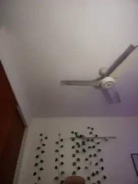 LunaXuan লাইভ XXX চ্যাট