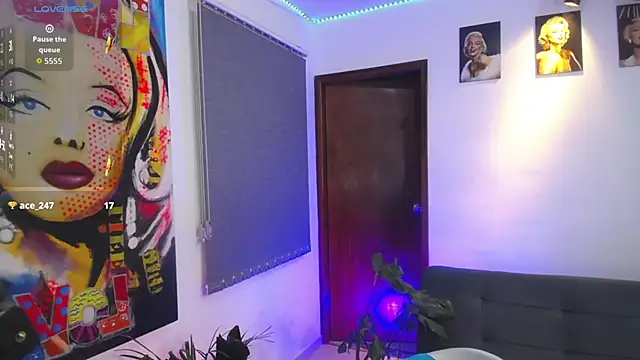 shellsy_hansn Webbikameraesitys