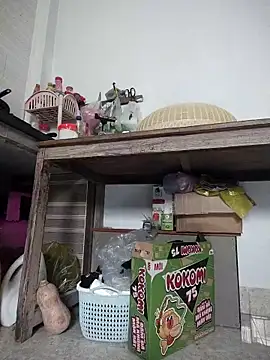 Chat +18 de Haralushiaaa ao vivo