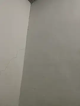 RAMONA_and_ROGER Webcam show