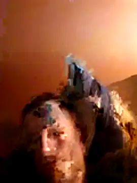 Wilsonn86 live XXX chat