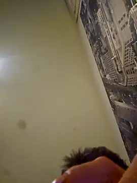 v4Tomasgrau9n Webbikameraesitys