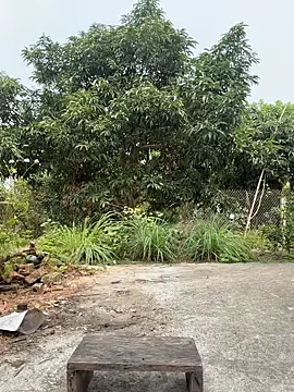 Naughty___asianのライブXXXチャット