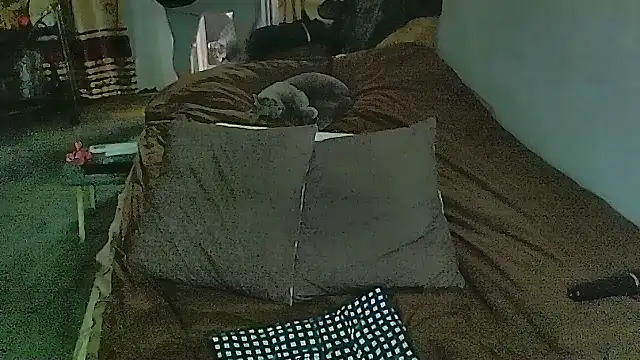 Živý XXX chat sex2