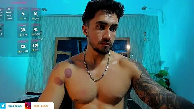 Brad_Summer: διαδικτυακό σόου στην κάμερα