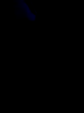 โชว์เว็บแคมของ ReeferMadness59