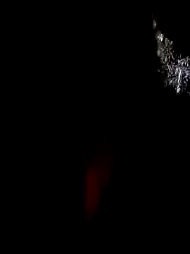 Show de webcam de cindy_damm