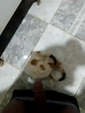 Akram5 Adlı Modelin Canlı XXX Sohbeti