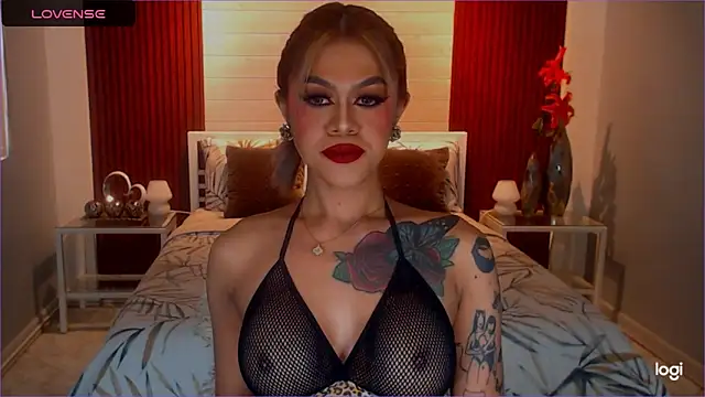 StellaStrong30のウェブカメラショー