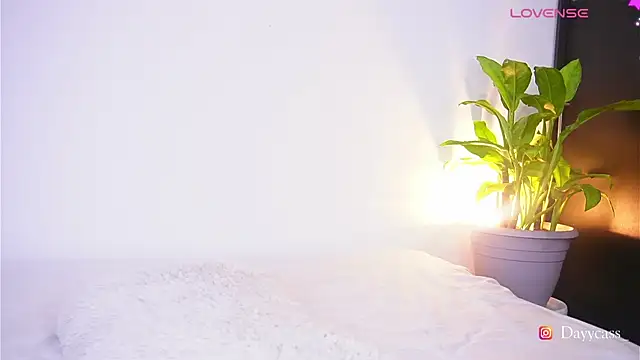 แชท XXX สดของ daycass_