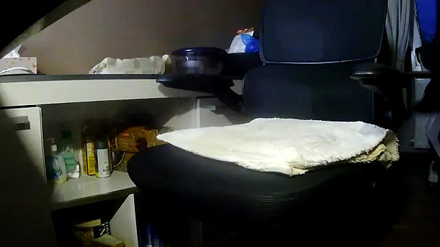 Show Webcam de suedel65