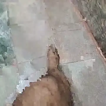 jockey2051992 webkamerás műsora