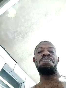 Negaomalinha1 웹캠 쇼