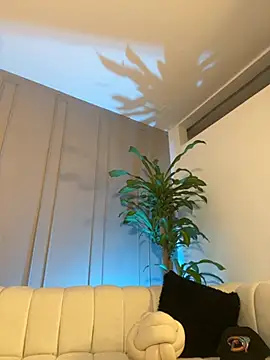 Frank_Farrell 웹캠 쇼