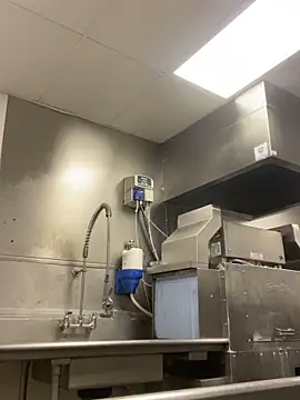 Mustang996 Chat XXX live