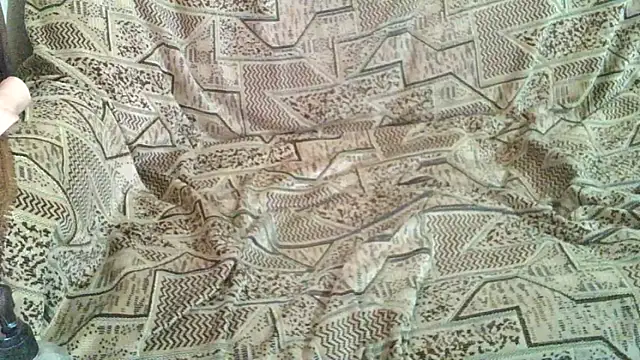 Show modela vgrr45534a na web-kameri