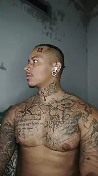 David_tatto1 Obrolan Langsung XXX