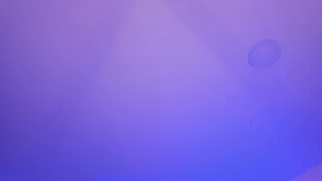 Marily_Daniela_'s Live XXX Chat