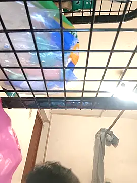 Ferxxxo1503's Webcam Show