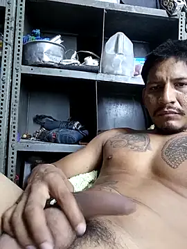 cielo420n Webbikameraesitys