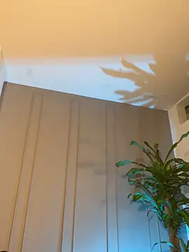 Frank_Farrellのウェブカメラショー