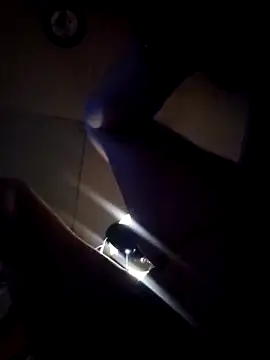 Show webcam de Paradice7