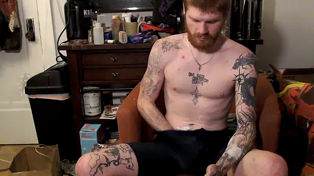 Show Webcam de Magnetic127