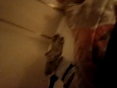 JoanBig@xh Webcam show