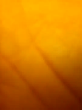 MrGuuDdick77 – Kamerová šou