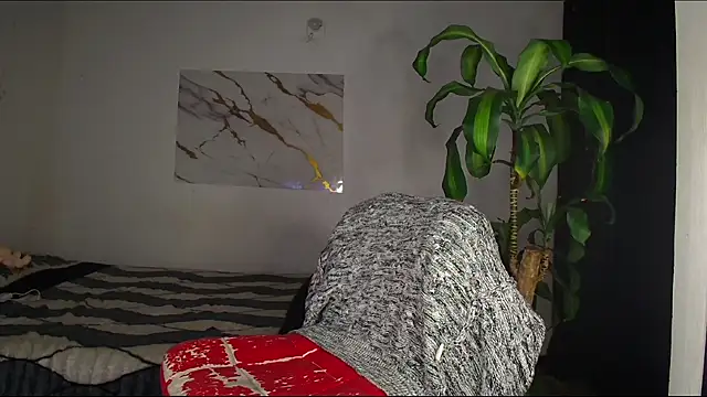 Logan_sixxer Show Webcam