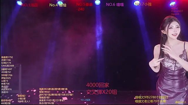 RV-525- 网络视讯表演