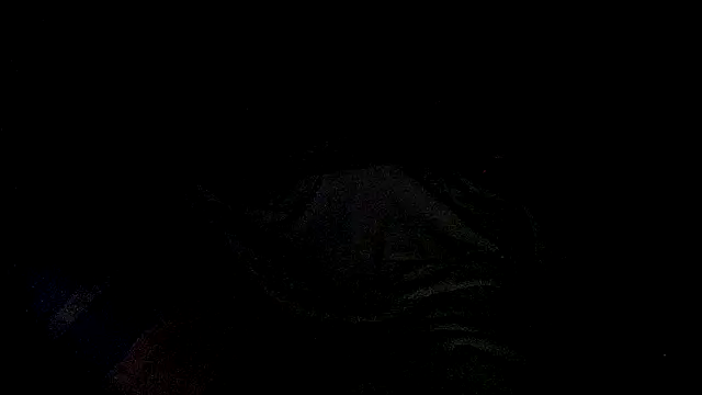 Lelety79 라이브 XXX 채팅